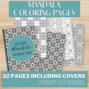 Mandala Coloring Book Vol 1