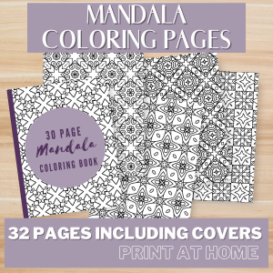Mandala Coloring Pages Vol 2